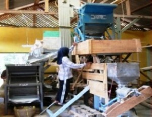 Pemkab Tanjabtim Akan Meremajakan Mesin Penggilingan Padi
