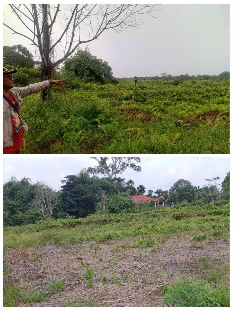 Lokasi Balai Pertanian Tanjabtim 