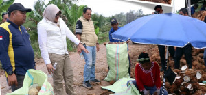 Touring ke Nipah Panjang, Bupati Dillah dan Kajari Turun Langsung Serap Aspirasi Petani hingga Buruh Kelapa
