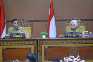 WTP ke-9 Tak Tutup PR APBD Tanjab Timur, Banggar DPRD Beberkan 6 Catatan Keras